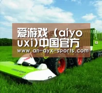 关于爱游戏