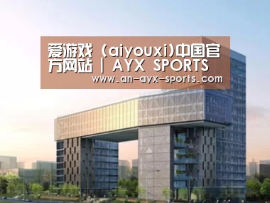 案例展示四