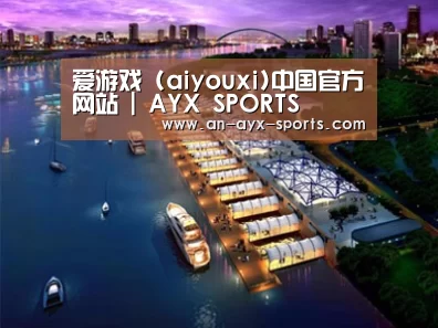 案例展示八