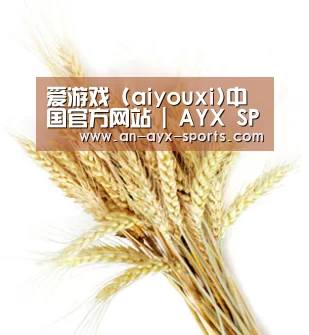 爱游戏 (aiyouxi)中国官方网站 | AYX SPORTS