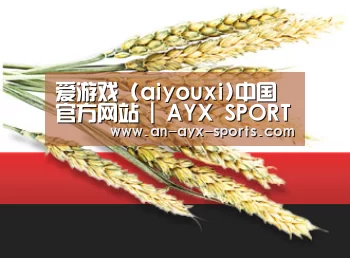 爱游戏 (aiyouxi)中国官方网站 | AYX SPORTS