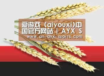 爱游戏 (aiyouxi)中国官方网站 | AYX SPORTS